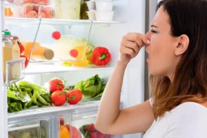 Tips for Reducing Refrigerator Odor after a Long Vacation